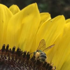 Meet your Posher, Maryse